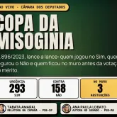 Movimento usa jogo online para pedir puni��o contra o �dio �s mulheres