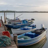 Projeto garante seguro-defeso por todo o per�odo de proibi��o da pesca