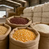 Governo atualiza pre�os m�nimos de produtos agr�colas para as pr�ximas safras
