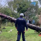 Governo federal reconhece emerg�ncia em 17 cidades do Rio Grande do Sul