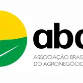 Tempestade causa estragos no campo e preocupa agricultores
