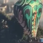 Balao cai e assusta moradores na Zona Norte do Rio