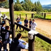 Programa une ci�ncia e pr�tica para melhorar a pecu�ria brasileira