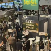 Vinho brasileiro brilha no exterior: exporta��es crescem 23,73% no primeiro semestre