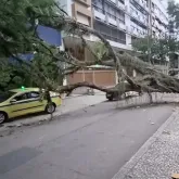 Rio de Janeiro pode ter novas ventanias? Veja a previs�o do tempo para os pr�ximos dias