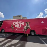 Castra��o gratuita para c�es e gatos na Taquara a partir de agosto