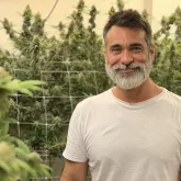 Curso ensina a extrair Cannabis medicinal em S�o Paulo