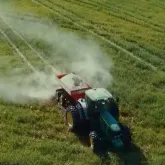 Solo f�rtil garante pasto na seca