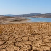 Seca cresce no Brasil e no mundo e vira tema principal da COP17