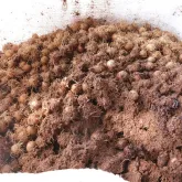 Caro�o de a�a� vira fertilizante que faz sorgo crescer at� 164% mais r�pido