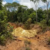 DPU pede ao STF suspens�o de licen�a para garimpo de ouro perto de terra ind�gena no Mato Grosso