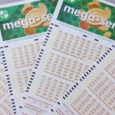 Apostador de Blumenau leva R$ 57 milh�es da Mega-Sena