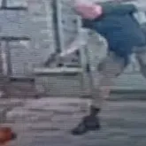 Homem mata cachorro a tiros na Tijuca