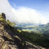Aventura na natureza: descubra trilhas e parques imperd�veis em S�o Paulo