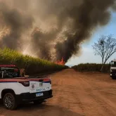 Calor extremo em SP pode causar inc�ndios: saiba como se proteger