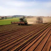 SP libera plantio de soja ap�s pausa obrigat�ria para evitar doen�a