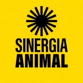 Europa bloqueia carne brasileira e revela sofrimento animal e uso de antibi�ticos na pecu�ria