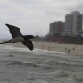 Chuva intensa e frio v�o tomar conta do Rio at� quarta-feira