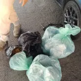Homem tenta fugir a nado pela Ba�a de Guanabara e � p�gopela Pol�cia