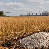 Pre�o dos alimentos sobe no mundo e Brasil exporta mais, mas custo de adubo afasta lucro do produtor