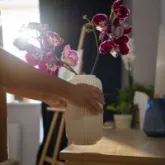 5 dicas de Feng Shui para deixar a casa leve e acolhedora na chegada da primavera