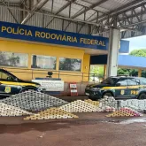 PRF desmantela maior carga de drogas do ano: quase 1 tonelada escondida em min�rio na rodovia