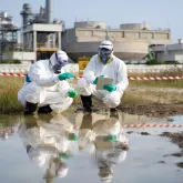 Alerta global: 7 sinais vitais da Terra foram rompidos e cientistas pedem a��o imediata