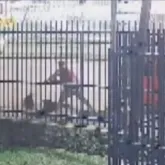 Motorista de app arranca cabelo e joga mulher na cal�ada em Curitiba
