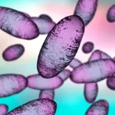 Alerta de Ebola global: Laborat�rio russo vaza bact�ria letal que causa a Peste