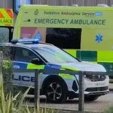 Homem morre ap�s invadir jaula de tigres em parque da Inglaterra e pol�cia alerta perigo