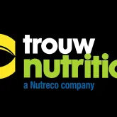 Suinocultura no Brasil avan�a com novas tecnologias de nutri��o e sustentabilidade