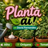 Jornalista transforma dor da perda da m�e em prazer com cultivo de plantas e cria canal no YouTube
