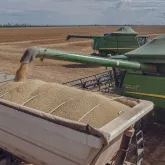 Safra recorde de soja e milho impulsiona agroneg�cio brasileiro em 2026