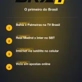 Bahia x Palmeiras na TV Brasil