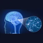 663722