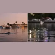 659515