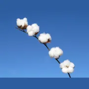 673406