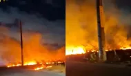 Fogo na Lagoa do Colosso mata animais silvestres e filhotes de c�es