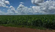 Gestora GCB chega a R$ 100 milh�es com empr�stimos para m�dios produtores rurais