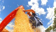 Economia brasileira cai 0,6% em junho, mostra Banco Central