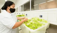 914 vagas de emprego em alimenta��o no estado de S�o Paulo