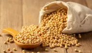 USDA prev� 186 milh�es de toneladas de soja para o Brasil na safra 26/27; custos e pre�os s�o decisivos