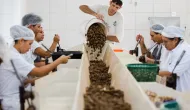 Governo quer escolher produtos verdes para vender mais na Europa