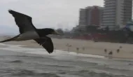 Chuva intensa e frio v�o tomar conta do Rio at� quarta-feira