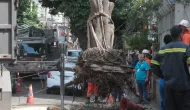 Temporais deixam bairros do Rio sem luz ap�s queda de �rvores