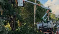 Vento de 75 km/h derruba �rvores e deixa bairros de Estiva Gerbi sem luz