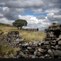 Como 'O Morro dos Ventos Uivantes' se tornou um fen�meno cultural