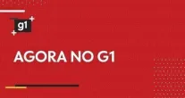 Prefeitura de MT perdeu processo por n�o agir Contra Doen�as Transmitidas Pelo Mosquito Da Dengue