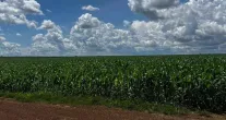 Gestora GCB chega a R$ 100 milh�es com empr�stimos para m�dios produtores rurais