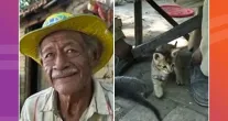Morte de guardi�o ind�gena deixa mais de 60 gatos sem lar no Pantanal